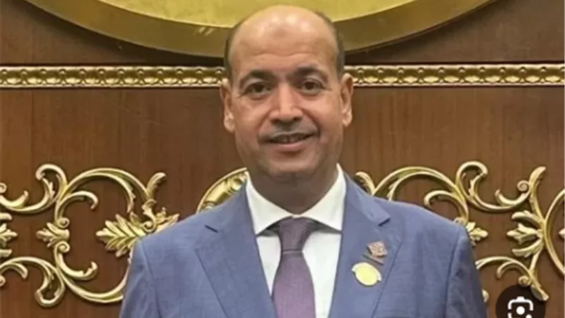 برلماني: وقف الحرب في غزة إنتصار للسياسة الخارجية المصرية (خاص) 
