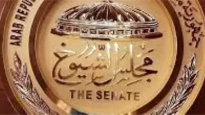 عضو بـ«الشيوخ»: السيسي يقود قمة بروكسل نحو شراكة استراتيجية
