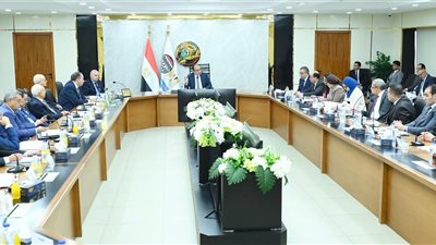 وزير قطاع الأعمال يلتقي نظيره الجزائري لتعزيز الشراكات في الصناعات الدوائية