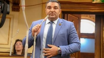 برلماني: مصر فرضت نفسها على العالم وقمة بروكسيل تاريخية (خاص)