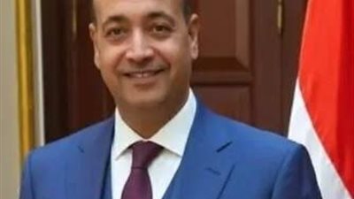 عضو بالشيوخ: الرئيس السيسي راعي السلام في المنطقة العربية 
