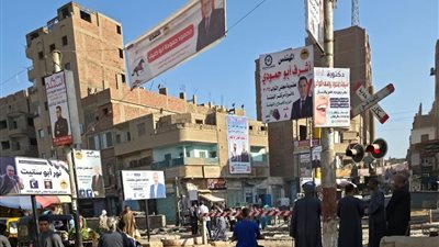 استمرار الدعاية الانتخابية للجان الـ30 المطعون عليها.. تفاصيل
