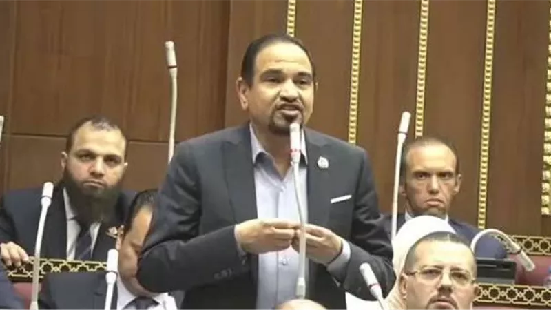 النائب محمد عبد العليم: مصر شريك أساسي لأوروبا بعدد من الملفات والقضايا (خاص)