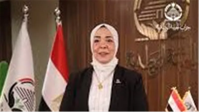برلمانية: زيارة الرئيس السيسي إلى بروكسل تنعكس إيجابيًا على الاقتصاد المصري (خاص)