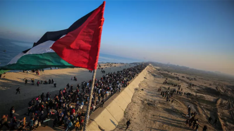 خاص| خبير شؤون دولية: الحكومة الانتقالية في غزة ستتشكل بالتوافق الفلسطيني