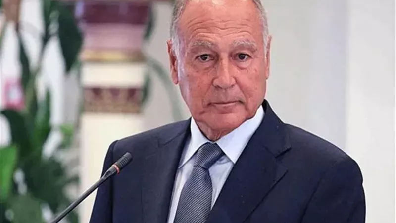 أحمد أبو الغيط الأمين