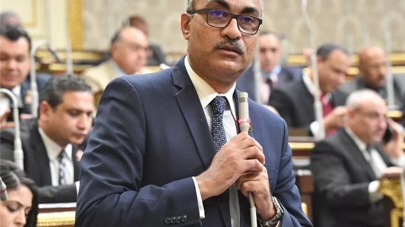 النائب إيهاب منصور: «المصري الديمقراطي» يواصل استعداداته للانتخابات البرلمانية المقبلة