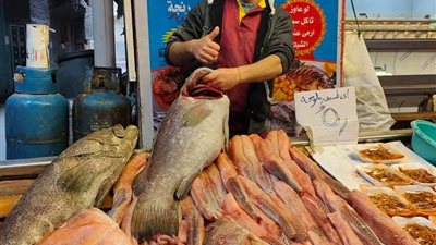 لعشاق المأكولات البحرية.. أسعار الأسماك والجمبري في الأسواق اليوم الأربعاء 