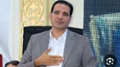 مشيداً بتوجيهات الرئيس.. عضو بالشيوخ: القطاع الخاص يمثل ركيزة أساسية للتنمية