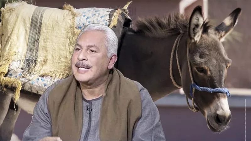 له دلالات علمية.. نقيب الفلاحين يكشف لـ