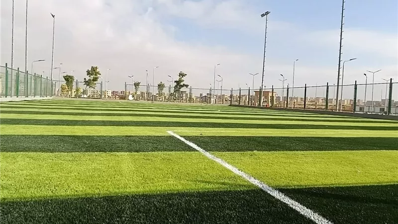 مجلس الوزراء يوافق على تسعيرة عضوية 