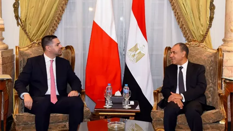 وزير الخارجية المصري