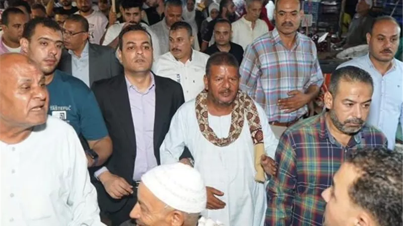 حماة الوطن ينظم جولات جماهيرية بالإسكندرية دعماً لمرشحيه في انتخابات النواب