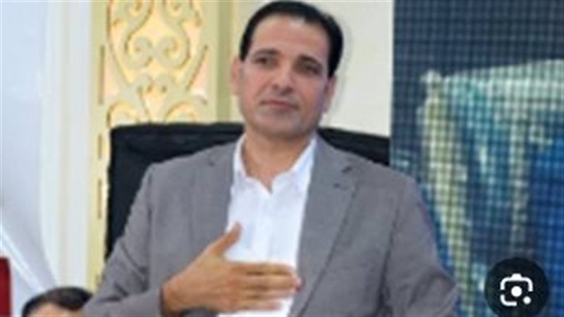 النائب نان نصر الله