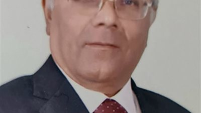 رئيس غرفة القليوبية التجارية: السوق المصرية جاهزة لجذب تدفقات استثمارية كبرى