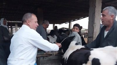 نقيب الفلاحين: وزارة الزراعة تعلن الحرب على “الوادي المتصدع” و
