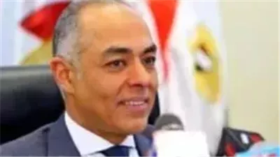 المستشار أحمد بنداري: تنسيق تام مع وزارة الخارجية لمتابعة العملية الانتخابية في 117 دولة حول العالم