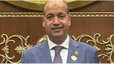 عضو بالشيوخ: مشاركة المصريين بالخارج في الانتخابات البرلمانية تعكس قوة الدولة المصرية (خاص)