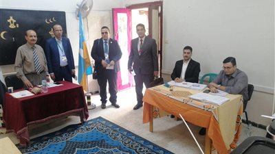 وفد المنظمة العربية لحقوق الإنسان يتفقد لجان انتخابات النواب 2025 بالإسكندرية