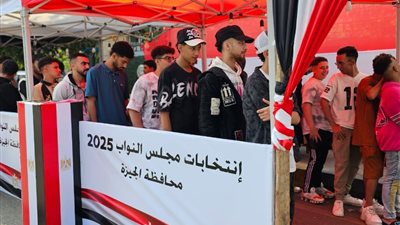 ننشر حيثيات حكم إلغاء الانتخابات بالجيزة والدقي والعجوزة 