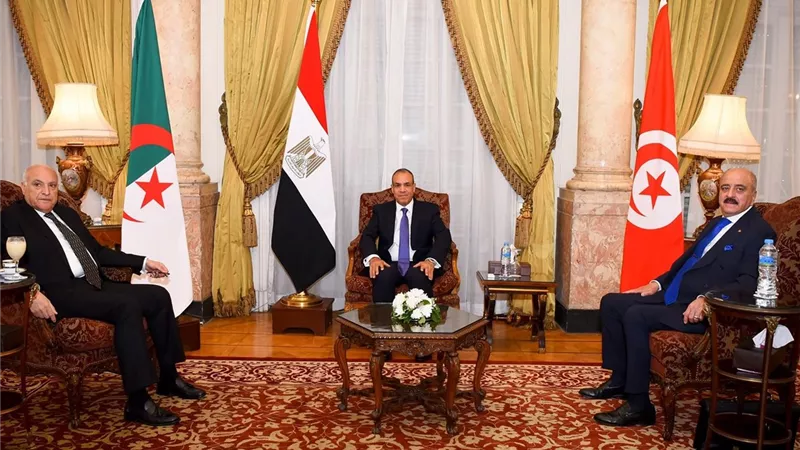 مصر والجزائر وتونس في بيان: نرفض التدخل الأجنبي بليبيا ونطالب بطرد المرتزقة