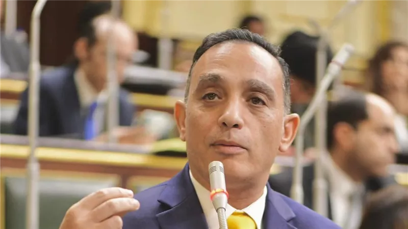 النائب فريدي البياضي: «الحكومة كانت يجب رحليها منذ 5 سنوات وتتحاسب»