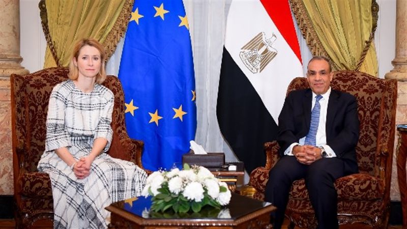 الدكتور بدر عبد العاطي