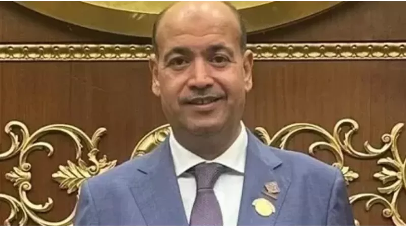عضو بالشيوخ: مشاركة المصريين بالخارج في الانتخابات البرلمانية تعكس قوة الدولة المصرية (خاص)