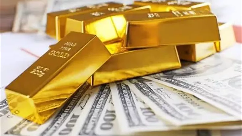  سعر الدولار مقابل الجنيه المصري خلال تعاملات اليوم الأحد 9 نوفمبر 