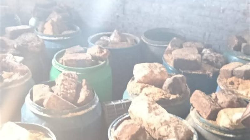 ضبط 12 طن أسماك مملحة