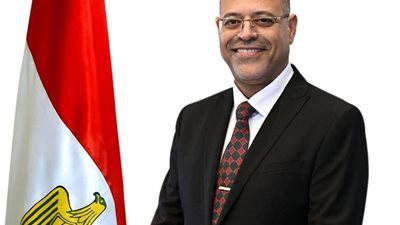 بعد تفتيش وزير العمل.. ضبط 441 عاملا أجنبيا مخالفا في السويس