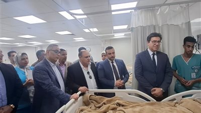 بقرار من وزير الثقافة.. صرف تعويضات عاجلة لضحايا حادث طريق إسنا 