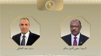 وزير الخارجية المصري يجري اتصالًا هاتفيًا مع نظيره السوداني