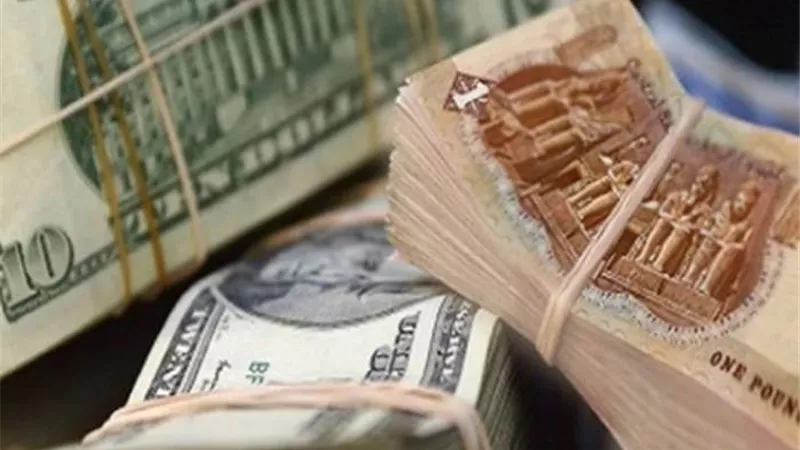 خبير اقتصادي: زيادة الاحتياطي النقدي تدعم الجنيه وتخفض سعر الدولار