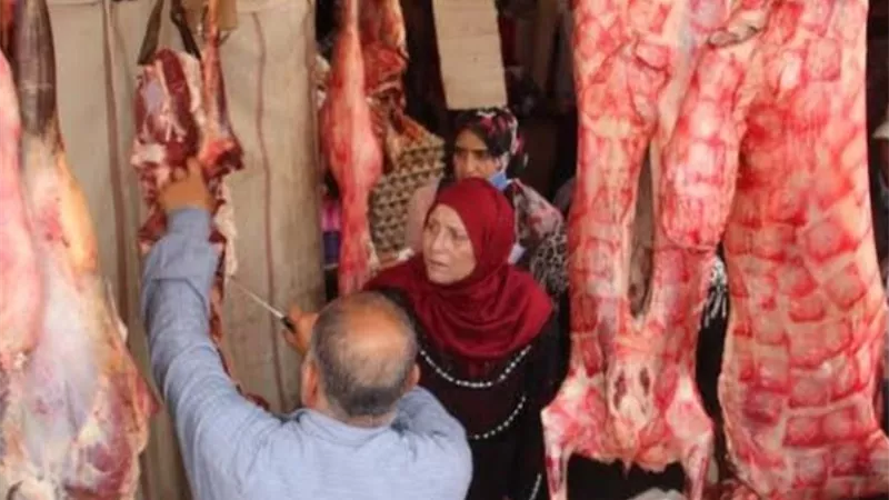 تعرف على أسعار اللحوم الحمراء بالأسواق ومنافذ البيع