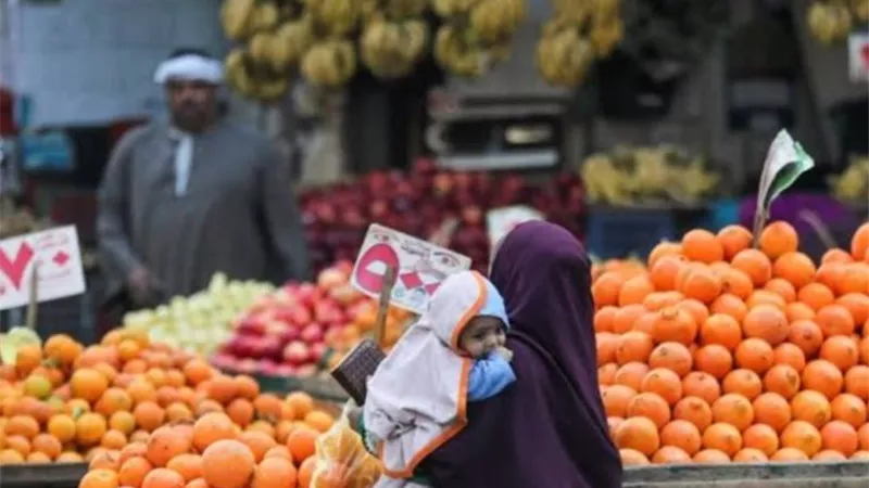 أسعار الخضروات والفواكه اليوم في مصر تسجل زيادات رغم استقرار السوق