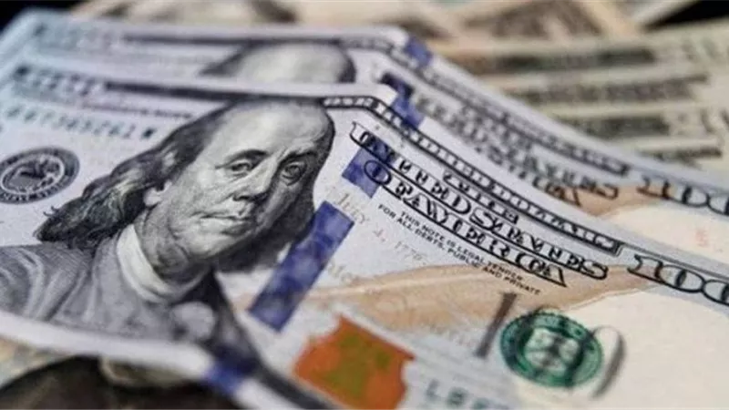 العملة الخضراء مستمرة في الاستقرار..  سعر الدولار الآن في مصر