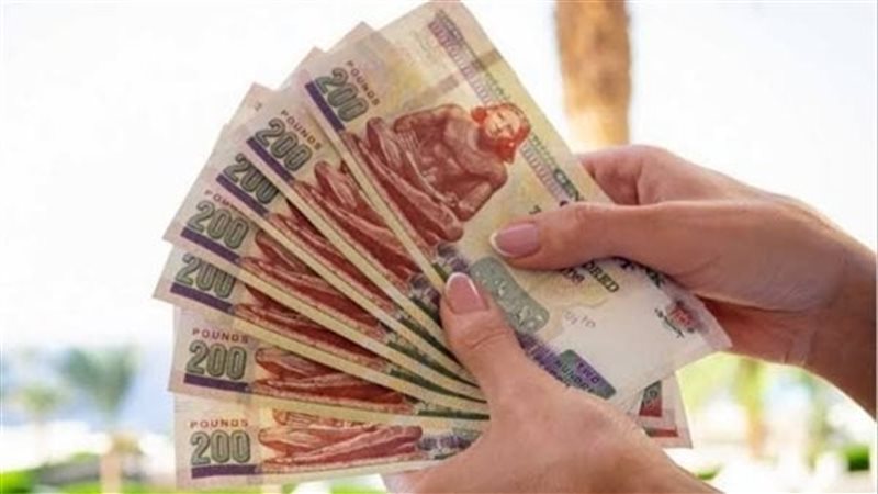 موعد صرف معاشات يناير