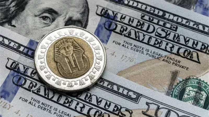 الدولار في مصر: آخر تحديثات الأسعار وكيفية الاستفادة للمستهلكين والمستثمرين