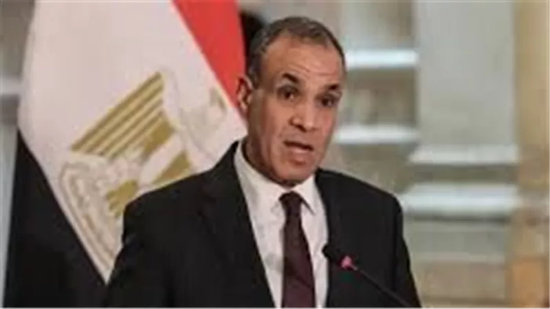 وزير الخارجية يؤكد استمرار جهود مصر لوقف إطلاق النار.. وتدفق المساعدات لغزة