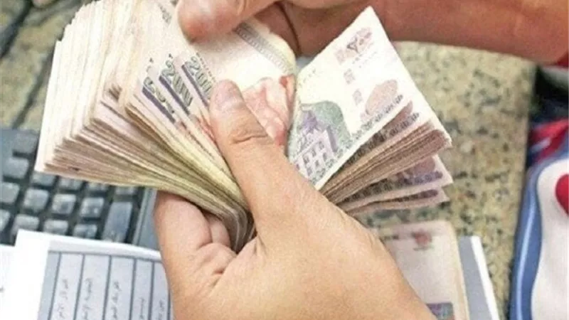 لكل الدرجات الوظيفية.. موعد صرف مرتبات المعلمين والموظفين لشهر نوفمبر 2025