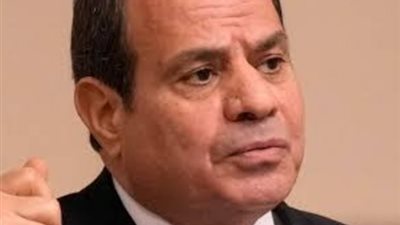 السيسي وبوتين يتابعان تركيب وعاء ضغط المفاعل النووي بمحطة الضبعة النووية