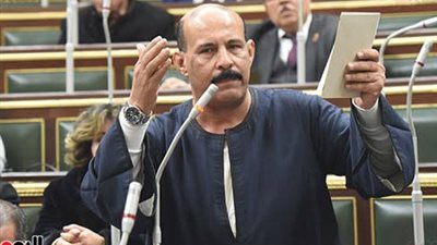 عضو بالبرلمان: الرئيس السيسي أنصف المصريين ووحد الشارع المصري (خاص)