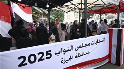 الوطنية للانتخابات تكشف الفائز بدائرة إمبابة وتعلن إعادة بين هولاء المرشحين