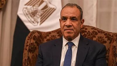 مصر ونيجيريا تعززان التعاون الثنائي وتتبادلان الرؤى حول القضايا الإقليمية