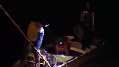 صيد الزريعة يهدد بحيرة البرلس.. فيديو متداول يثير غضب الأهالي وتحذيرات رئاسية سابقة