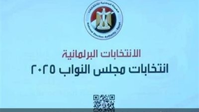 منافسة شرسة بين أكثر من 100 مرشح فردي على 10 مقاعد في كفر الشيخ مع انطلاق المرحلة الثانية للانتخابات البرلمانية
