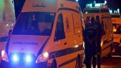 إصابة 11 شخصًا جراء تصادم سيارة ملاكي بميكروباص على طريق إسحاقة–كفر الشيخ