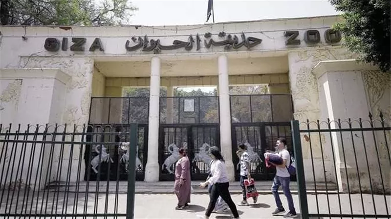 مفاجأة لعشاق الحيوانات.. موعد إعادة افتتاح حديقة الحيوان بالجيزة 2025