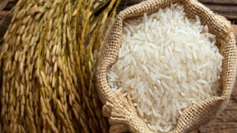 سعر طن الأرز الشعير